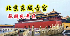 把骚逼操流水视频中国北京-东城古宫旅游风景区